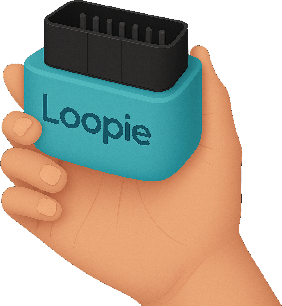 Hand holding the Loopie OBD device for NZ RUC