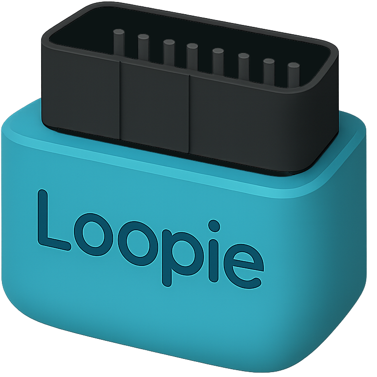 Loopie app and device encrypted Bluetooth sync